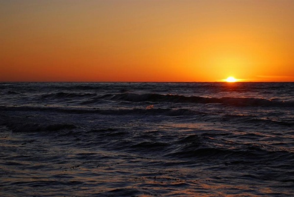 Shore Hotel image 29